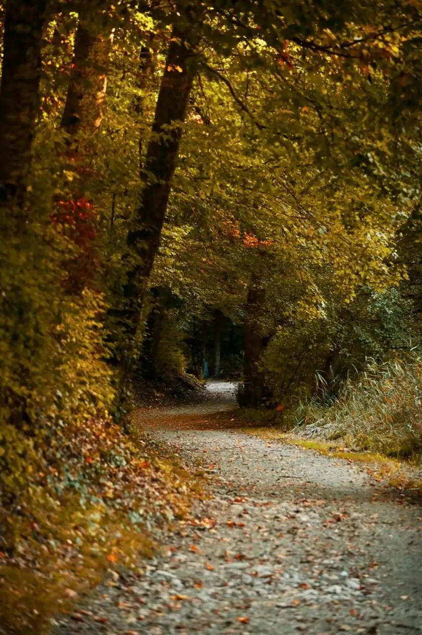 reference-pathway